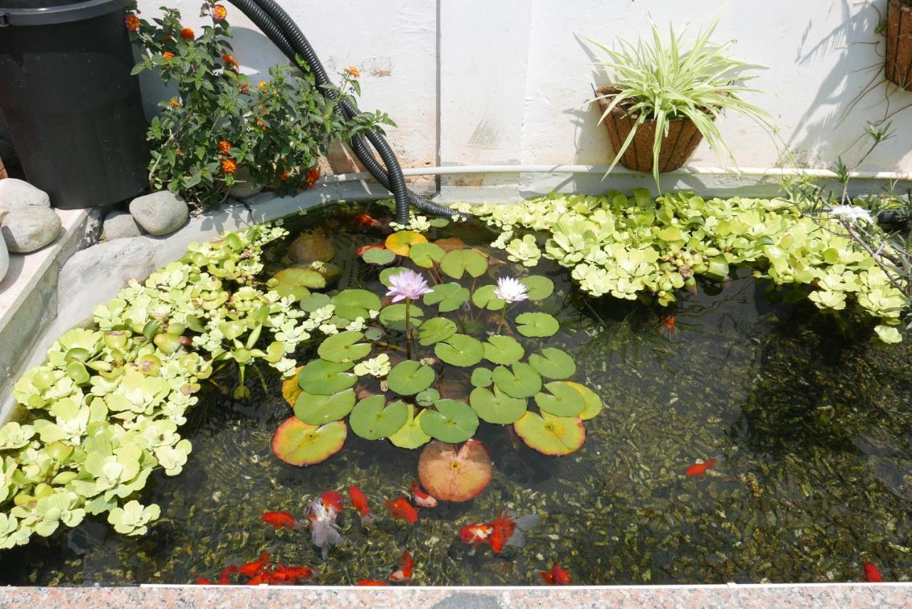 Nature Land 2 - Song Anh Hotel Dalat Экстерьер фото